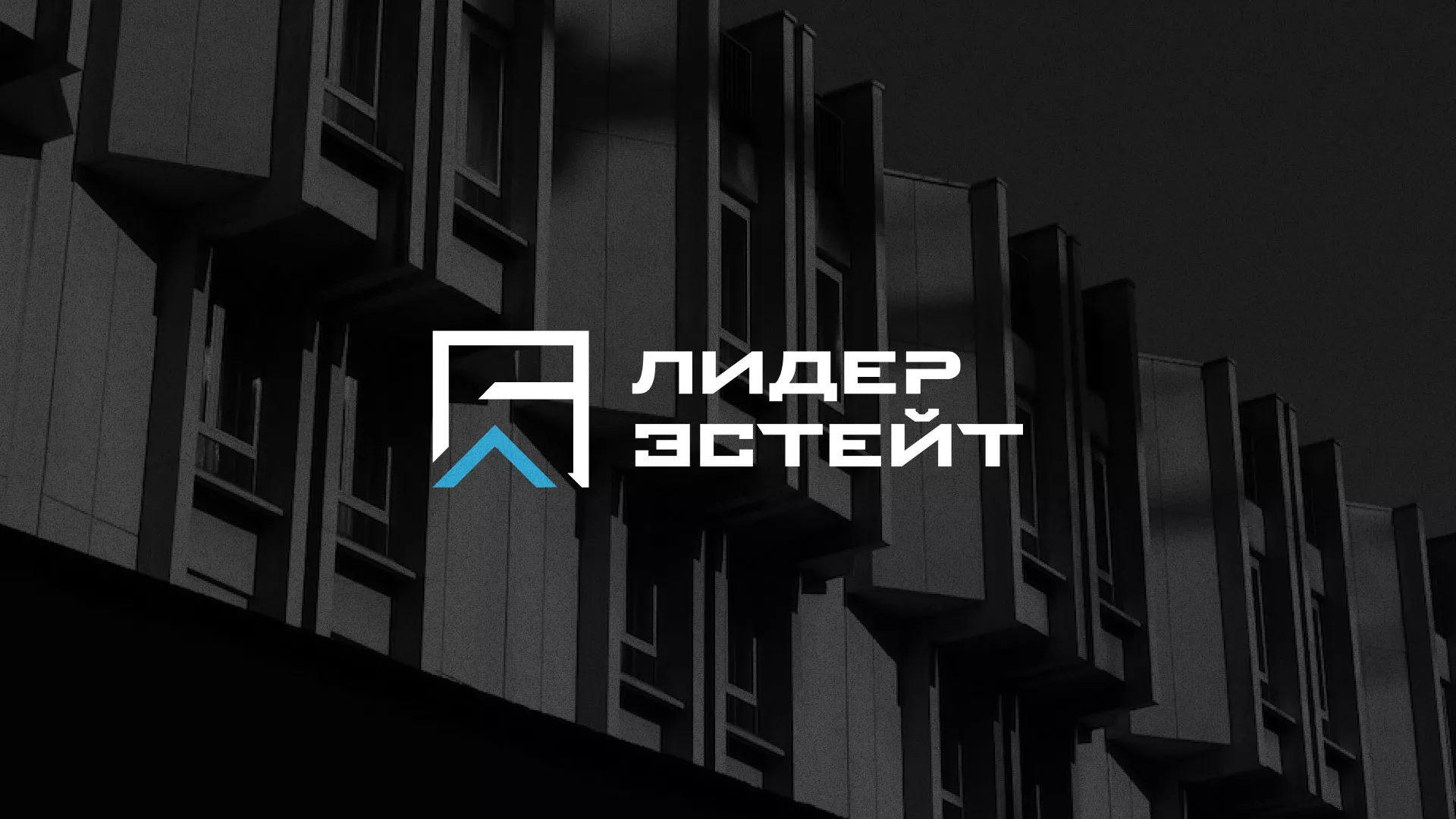 Разработка логотипа агентства недвижимости «Лидер Эстейт» в Тамбове